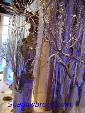 Winter Wedding Ideas