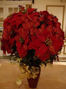 Red Poinsettia as Winter Wedding Reception Centerpieces